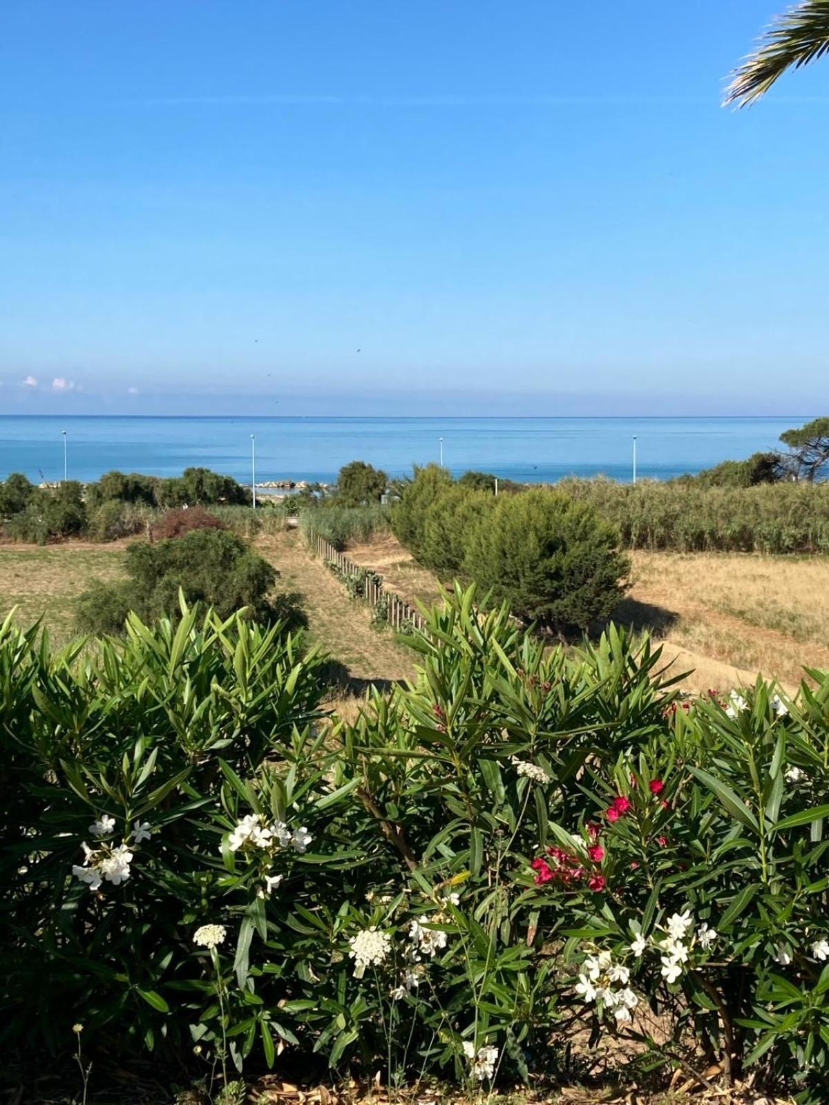 Domus Mare Luxury Apartamento San Leone Exterior foto